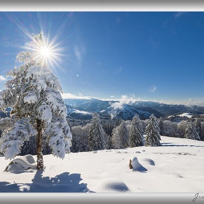 Dezember 2025 Winterlandschaft im Südschwarzwald Neuschnee und Sonnenschein sind die Ingredienzien, die das Herz eines jeden Landschaftsfotografen höher schlagen lassen. Bei...