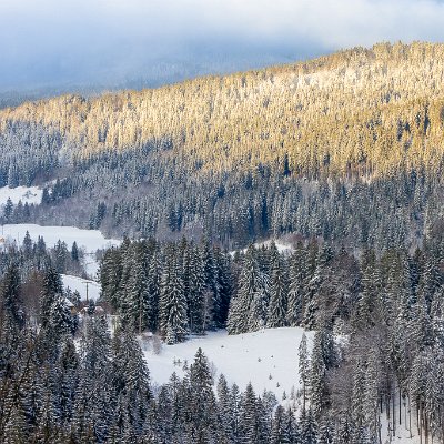 Wintertraum Bärental
