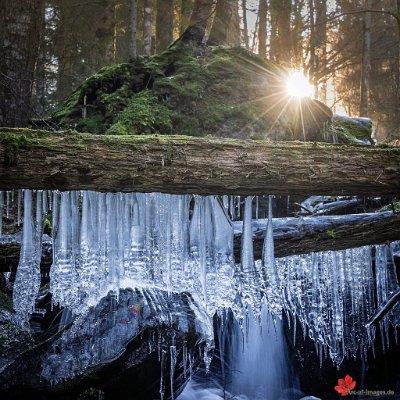 Eisiger Wintermorgen