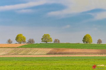 Vorfrühling auf der Baar Neudingen/Baar
