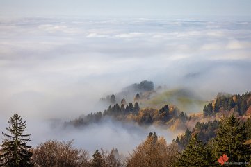 Überm Nebelmeer Giesshübel
