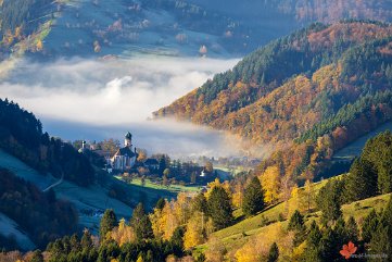 Blick auf St. Trudpert Münstertal