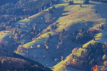 Schwarzwaldberge im Streiflicht Giesshübel