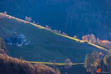 Schwarzwaldberge im Streiflicht Giesshübel