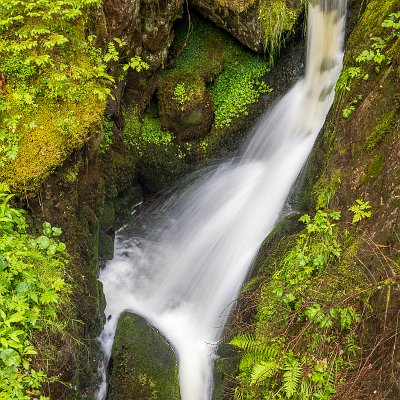 Kleiner Wasserfall im Buselbach Steinwasen