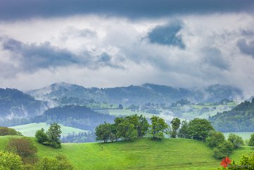 Frühjahrsregen Wittnau/Schönberg