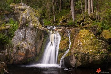 Kraiwoog-Gumpen Todtmoos