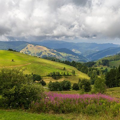 Blick in's Münstertal