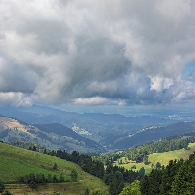 Blick in's Münstertal