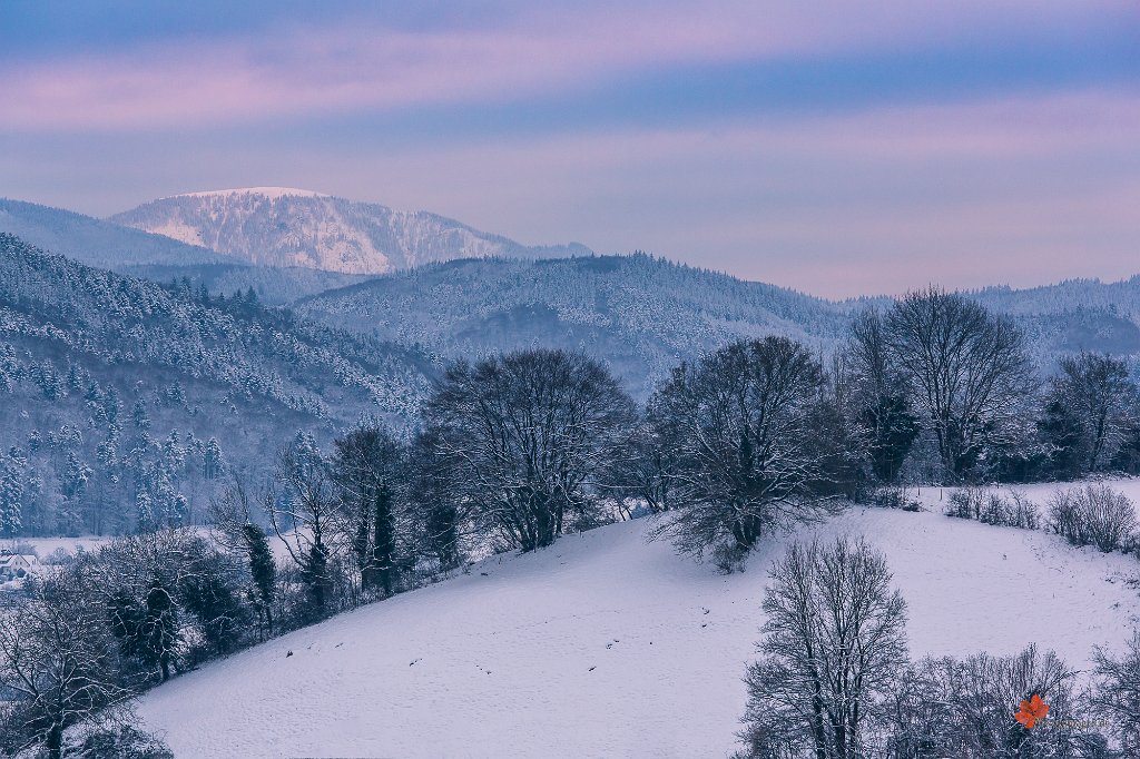 Winterabend Wittnau