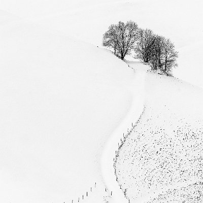 Verschneiter Feldweg Münstertal