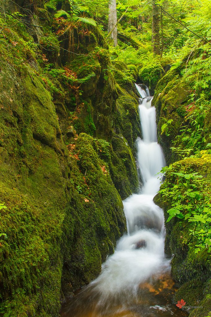 Kleiner Wasserfall Steinwasen