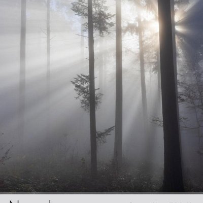November Sonnenstrahlen im Nebelwald