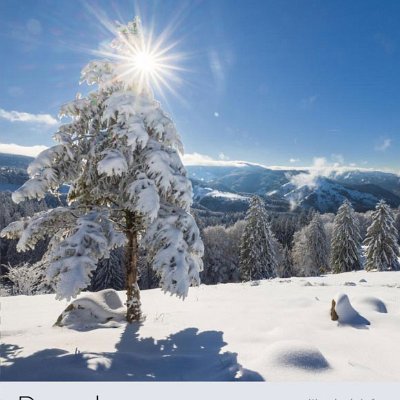 Dezember Winterlandschaft im Südschwarzwald