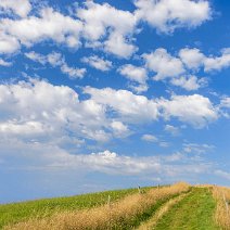 Weg in's Blaue Kohlerhof