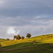 Morgenstimmung am Gießhübel Schauinsland