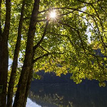 Am Feldsee Feldberg/Hochschwarzwald