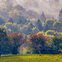 Erster Herbstnebel Schönberg/Ebringen