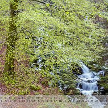 2019_03 Vorfrühling