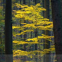 2019_09 Herbstbeginn