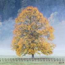 2019_10 Nebelstimmung