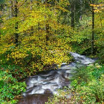 10_2020 Herbstfarben