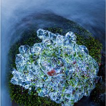 Moose im Eismantel Sankt Wilhelm
