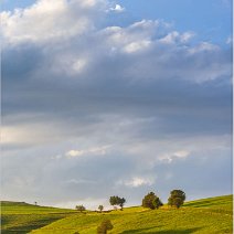 Landschaft am Gießhübel Schauinsland