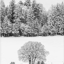 Winterlandschaft Sankt Peter