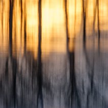 Spiegelungen Geisingen/Baar