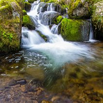 Goldbarren St. Wilhelm