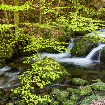 Bergbach St. Wilhelm