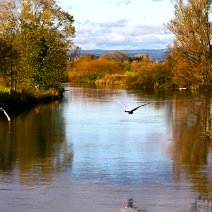 Herbst an der Donau Gutmadingen/Baar