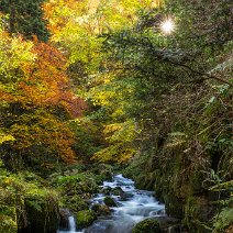 Im Sonnenlicht St. Wilhelm