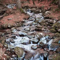 Eisskulpturen im Bergbach Langenbach am Steinwasen