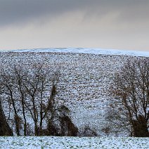 Grauer Tag Engen/Hegau