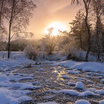 Sonnenaufgang im Moor Hinterzarten