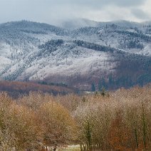 Erster Schnee Wittnau