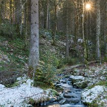 Zufrierdender Bergbach Notschrei