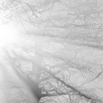 Letzter Sonnenstrahl Schönberg/Ebringen