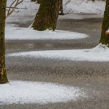 Bäume im Eis Leinbachtal/Bollschweil