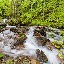 Tosender Bergbach Zastler Tal