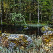 Felsen im See Feldbergmoor