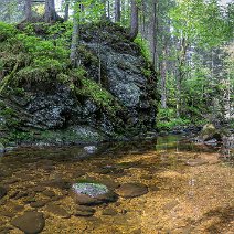 Bergbach am Feldberg Feldberg/Hochschwarzwald
