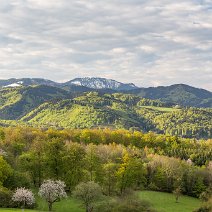 Blick zum Belchen Wittnau