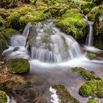 Kaskade im Bergbach St. Wilhelm