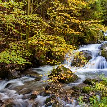 Herbststimmung am Bergbach St. Wilhelm
