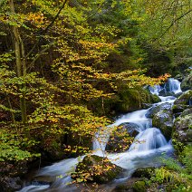 Herbststimmung am Bergbach St. Wilhelm