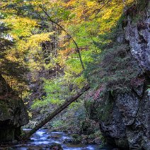 Herbstfarben St. Wilhelm