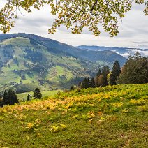 Blick in's Münstertal Etzenbacher Höhe